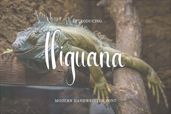 Higuana: A Handwritten Font That Feels Like Home